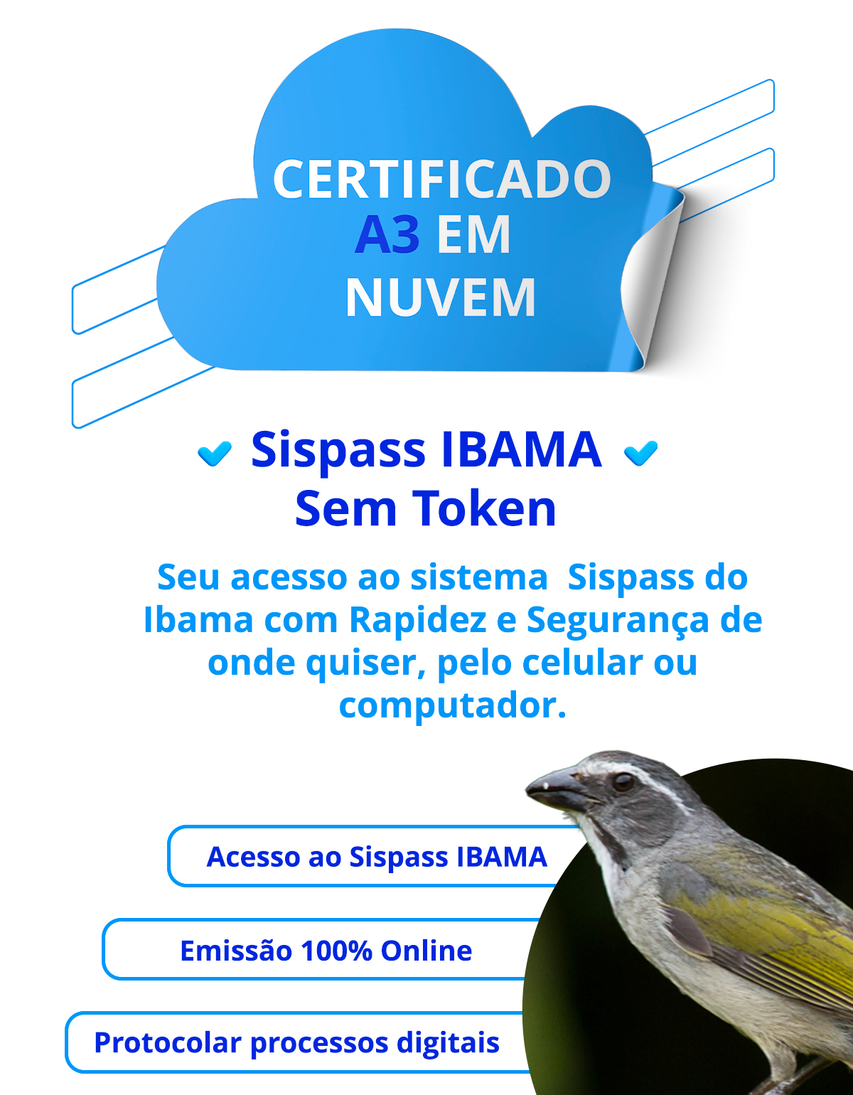 Acesso ao Sispass IBAMA sem Token Físico